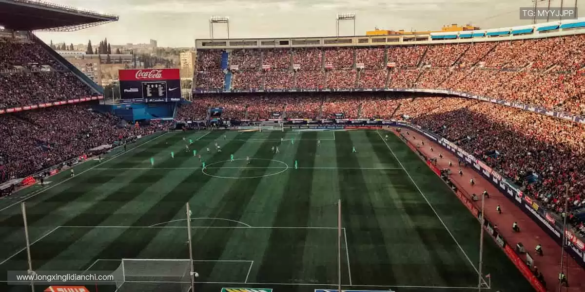 🎁🌟 限量周边，收藏你的热爱！